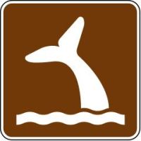 Whale Viewing Signs RS-107