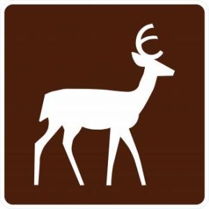 Deer Viewing Area Sign - RG-040