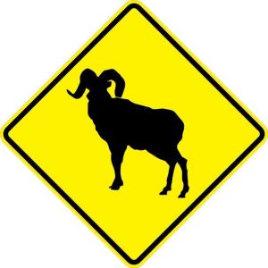 Bighorn Sheep Sign - W11-18