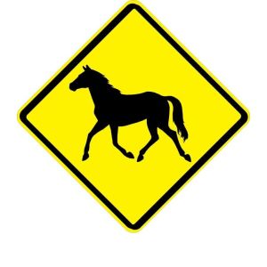 Wild Horse Sign - W11-22