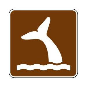 Whale Viewing Signs  - RS-107